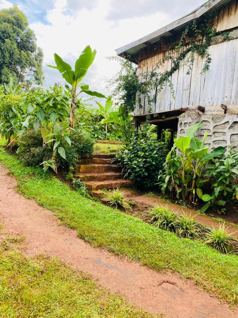 Rock Garden Sipi Hotel Kapchorwa Eksteriør billede