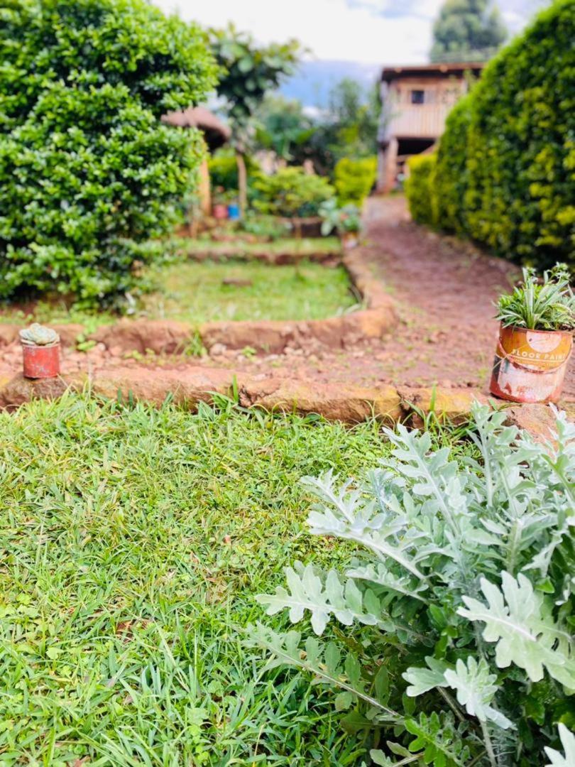 Rock Garden Sipi Hotel Kapchorwa Eksteriør billede