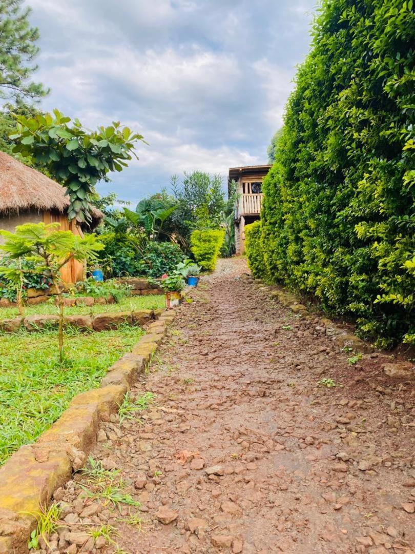 Rock Garden Sipi Hotel Kapchorwa Eksteriør billede